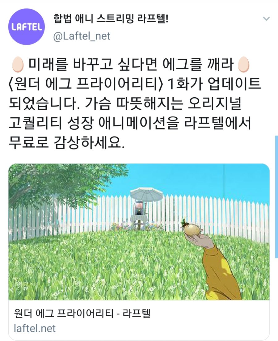 원더에그라프텔.jpg