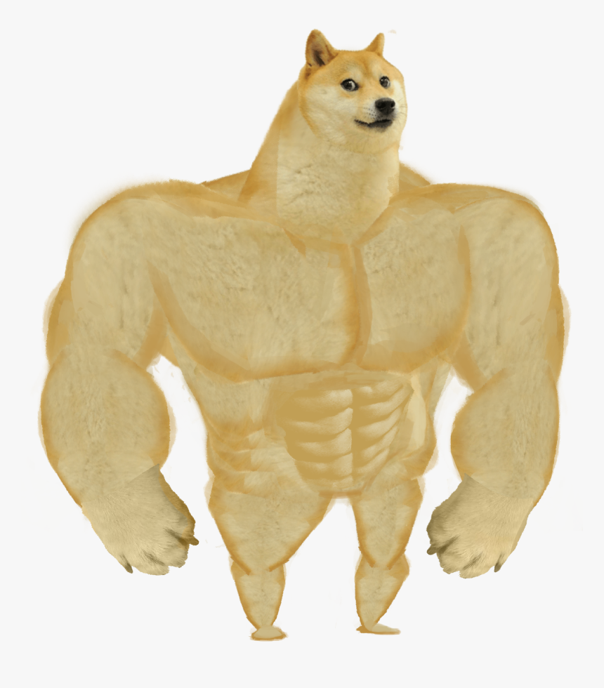 kmmdgnophdv.png