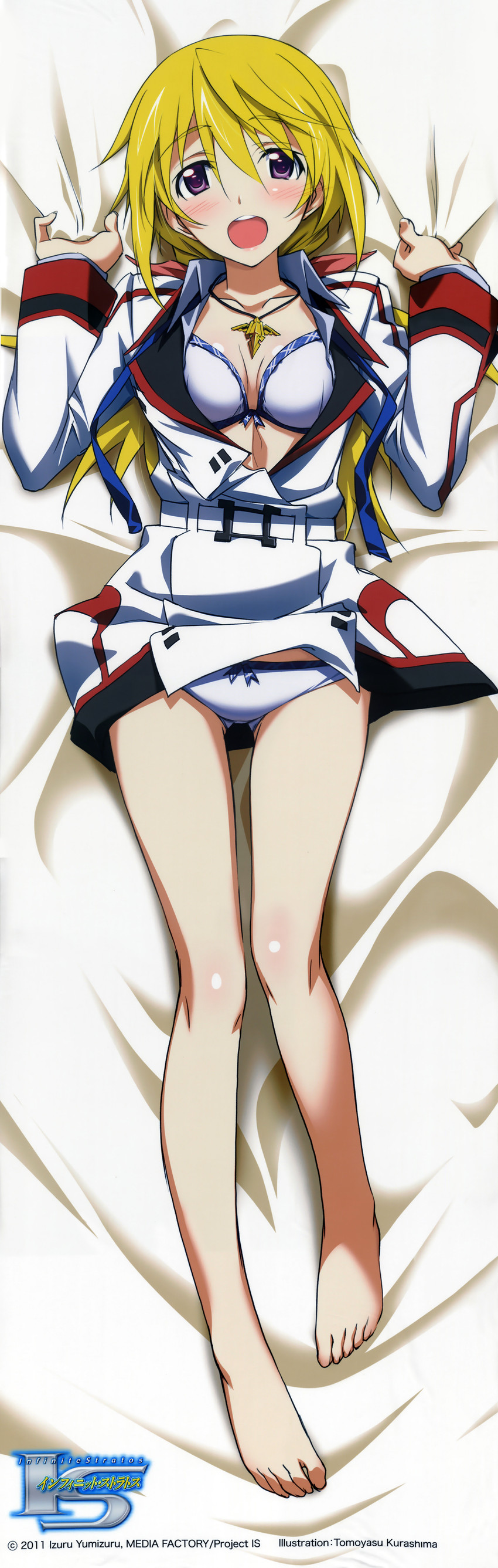 __charlotte_dunois_infinite_stratos_drawn_by_kurashima_tomoyasu__sample-9f3b968e3628950b97fcc2de96f38dbb.jpg