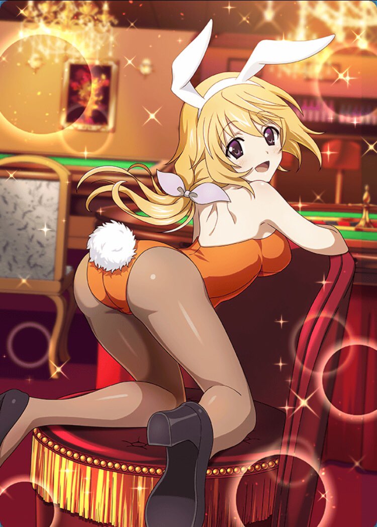 __charlotte_dunois_infinite_stratos__78527580d82167a1523e1c3d4e9528e7.jpg