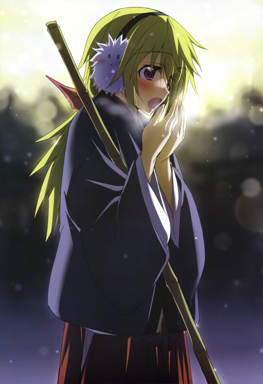 __charlotte_dunois_infinite_stratos_and_1_more_drawn_by_kurashima_tomoyasu__sample-0a03480a3f9b67f22854253a95afffea.jpg