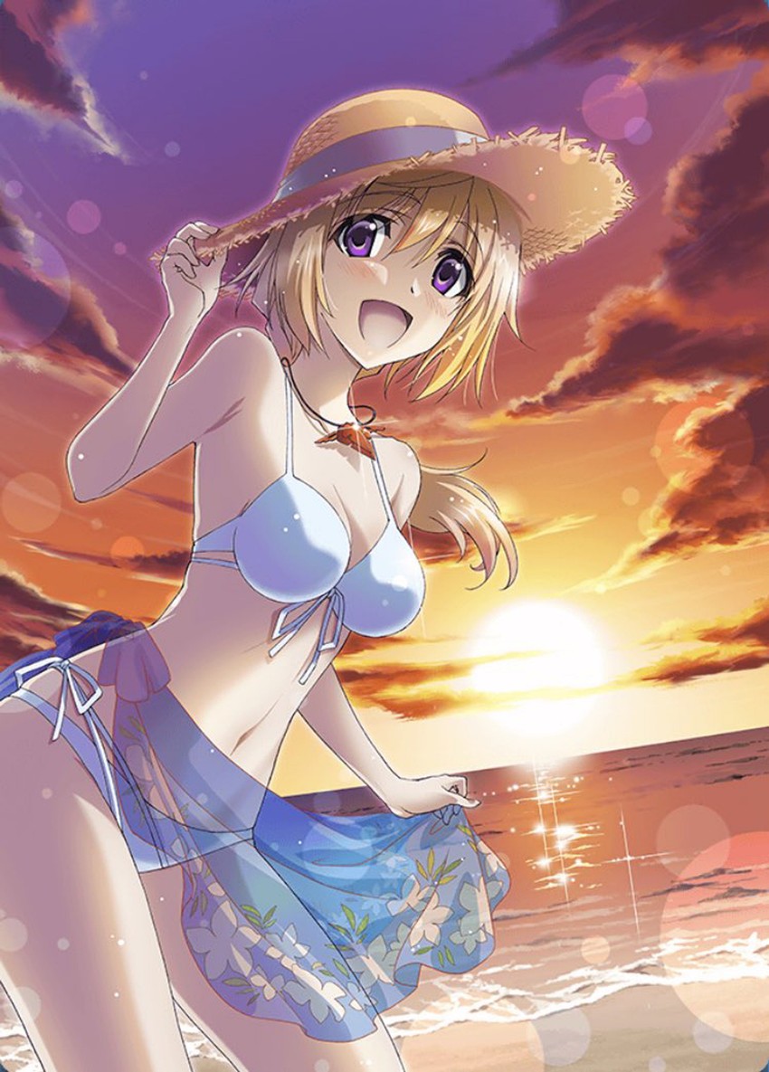 __charlotte_dunois_infinite_stratos__sample-d7cf8e0257230068aefdef9f549699a1.jpg