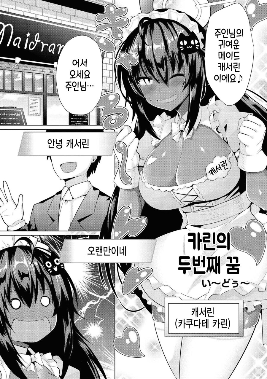 카린의 두번째 꿈.jpg