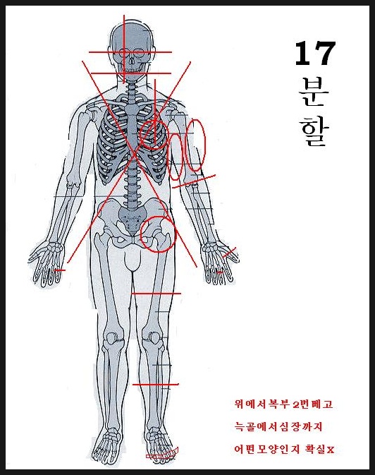 십칠1.jpg