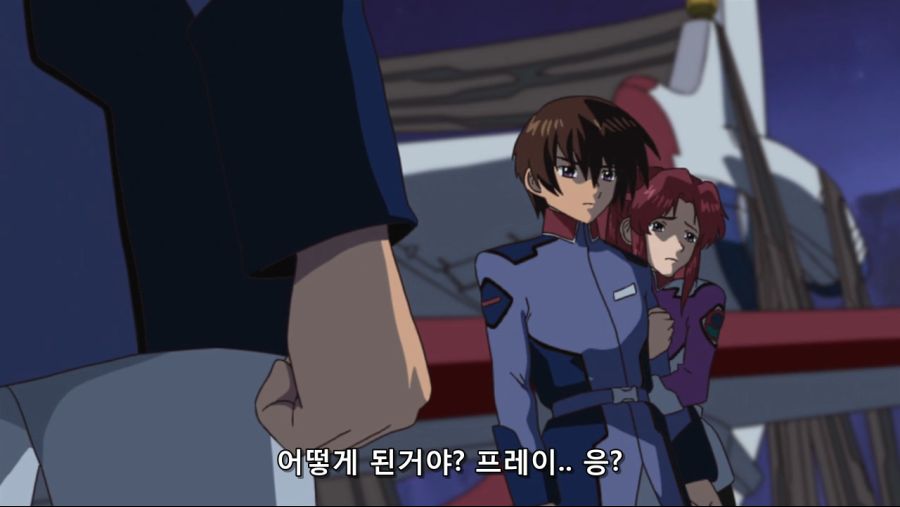 Mobile Suit Gundam SEED HD Remaster - 16 (PHASE-17) (BD 1280x720 AVC AAC).mp4_20200227_145421.904.jpg