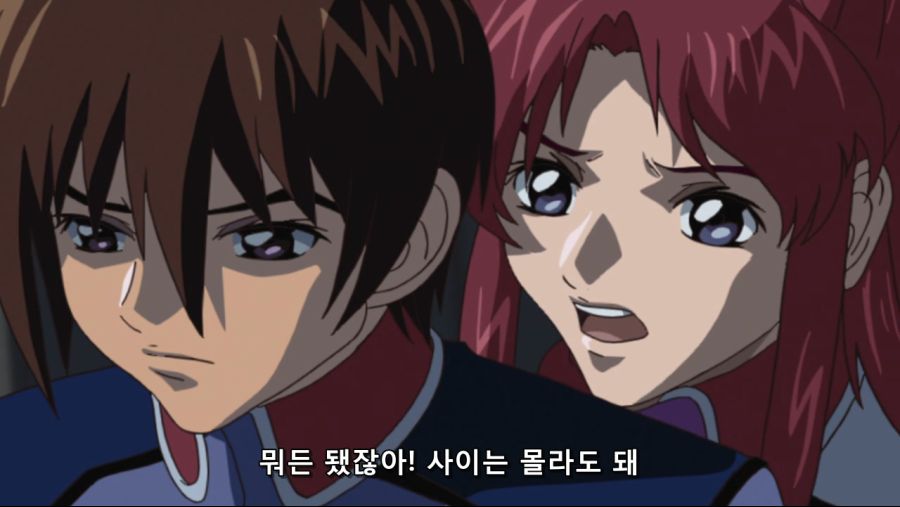 Mobile Suit Gundam SEED HD Remaster - 16 (PHASE-17) (BD 1280x720 AVC AAC).mp4_20200227_145423.669.jpg