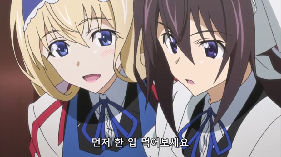 [Leopard-Raws] IS - Infinite Stratos 2 - 10 RAW (TBS 1280x720 x264 AAC).mp4_20221008_103411.076.jpg