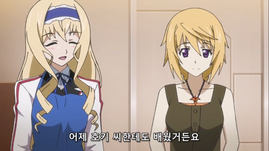 [Leopard-Raws] IS - Infinite Stratos 2 - 10 RAW (TBS 1280x720 x264 AAC).mp4_20221008_103430.549.jpg