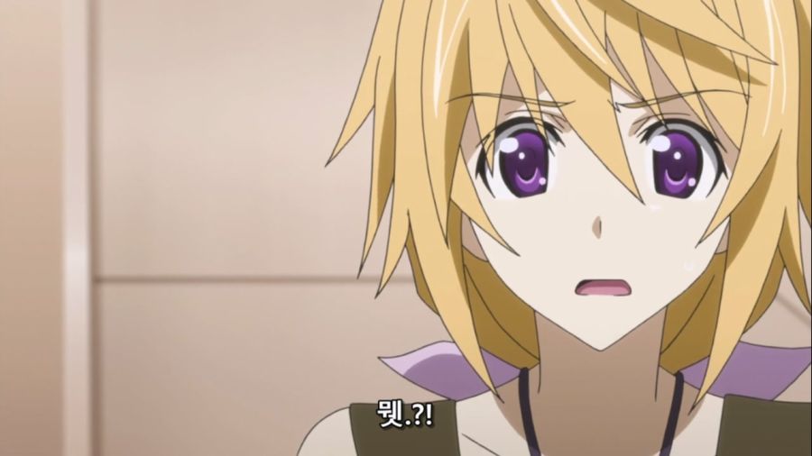 [Leopard-Raws] IS - Infinite Stratos 2 - 10 RAW (TBS 1280x720 x264 AAC).mp4_20221008_103434.684.jpg