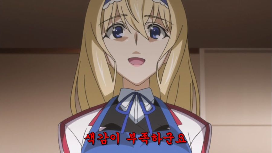 [Leopard-Raws] IS - Infinite Stratos 2 - 10 RAW (TBS 1280x720 x264 AAC).mp4_20221008_103457.900.jpg