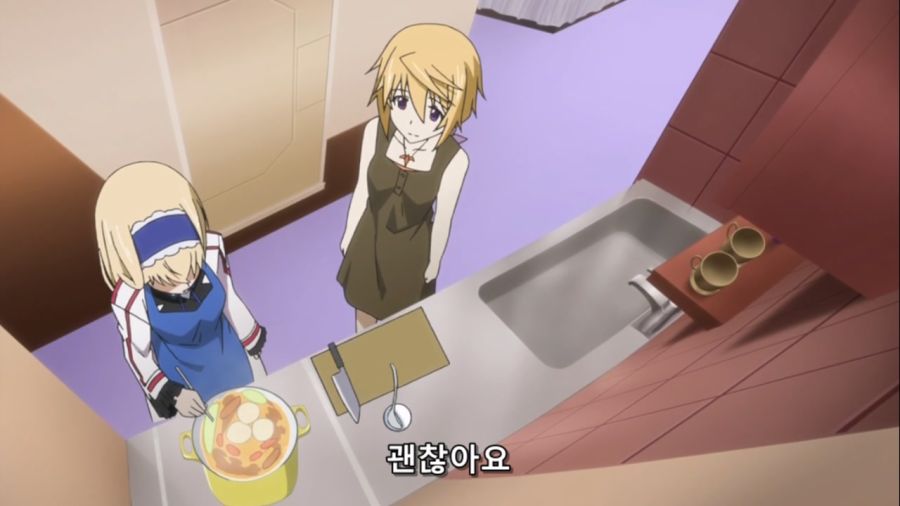 [Leopard-Raws] IS - Infinite Stratos 2 - 10 RAW (TBS 1280x720 x264 AAC).mp4_20221008_103507.228.jpg