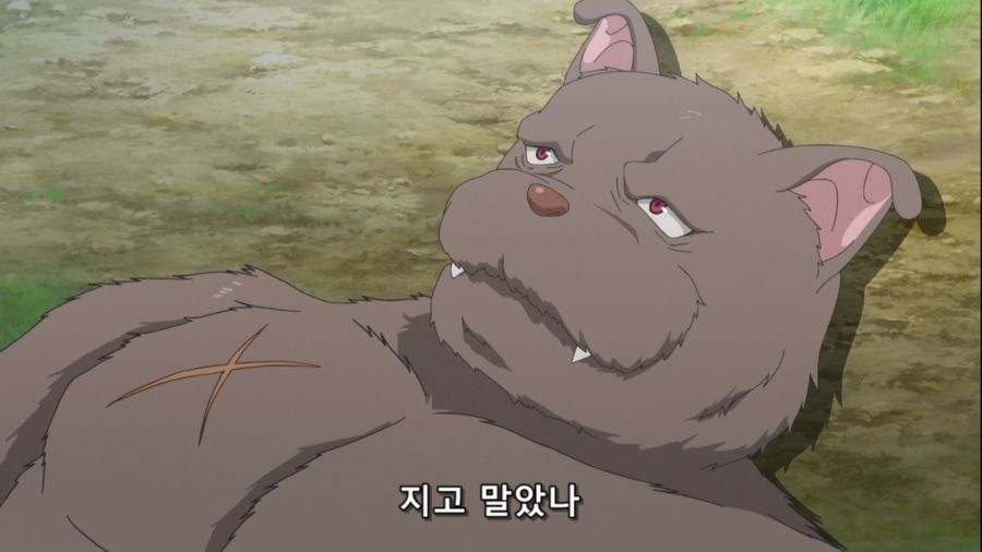 창단 짐승의길 (Hataage Kemono Michi) - 08 (BD 1920x1080).mkv_20221029_042929.892.jpg