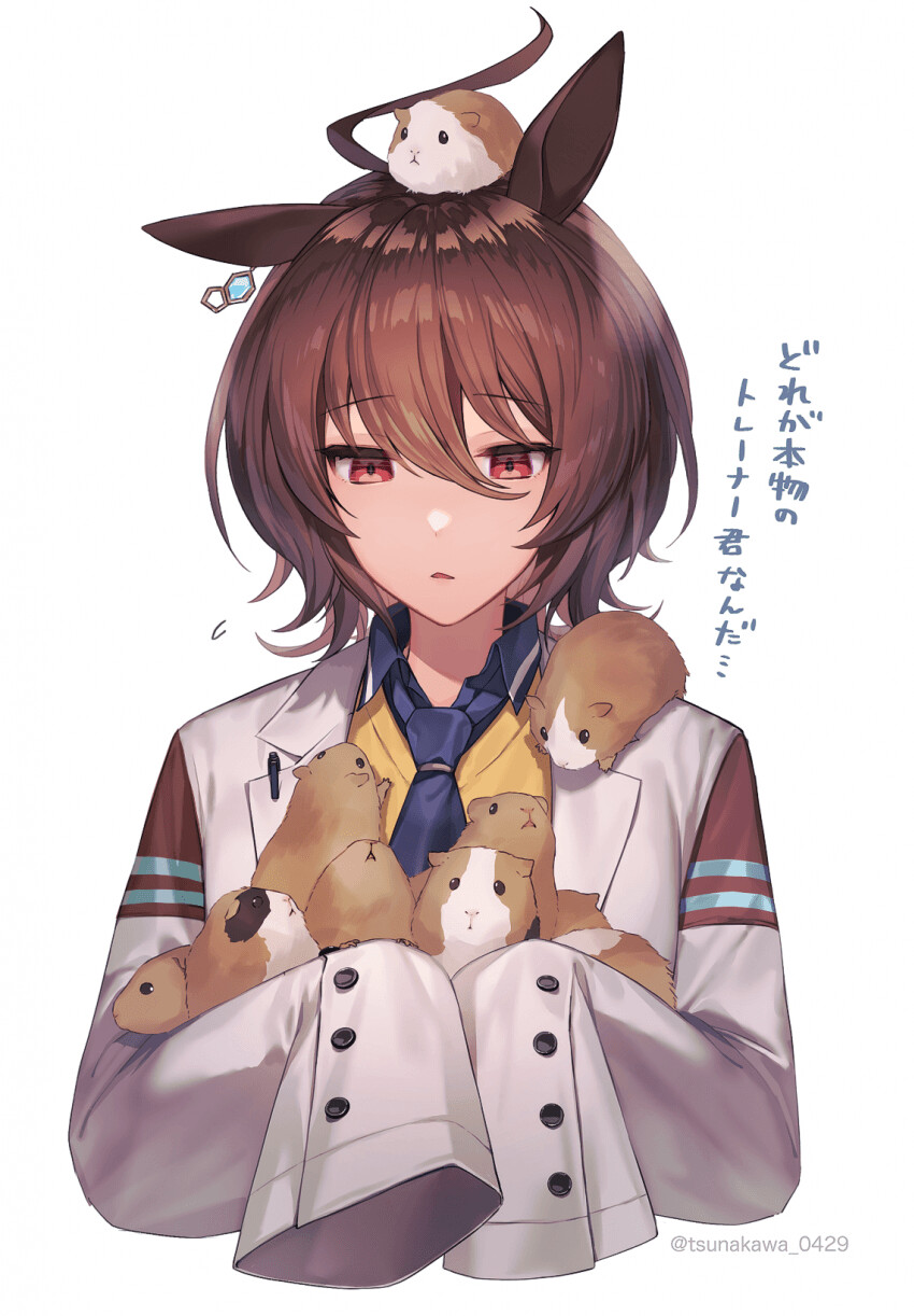 2022_11_18499c29c9b4f003d.png