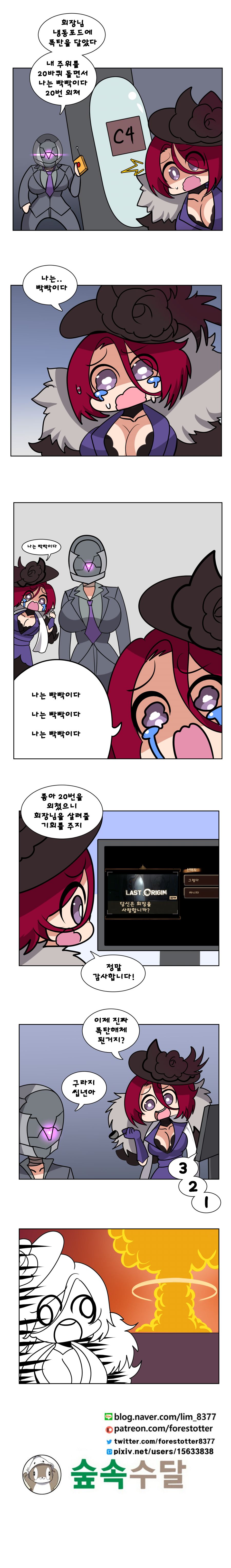 11지 엔딩 요약.png