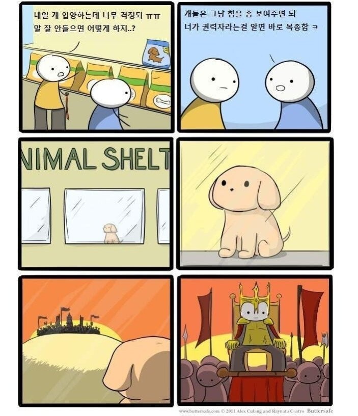 111.jpg