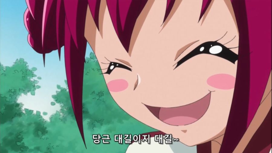 [네로] 스마일 프리큐어! 13화 (EX 1280x720 x264 AAC).mp4_20231217_190524.671.jpg