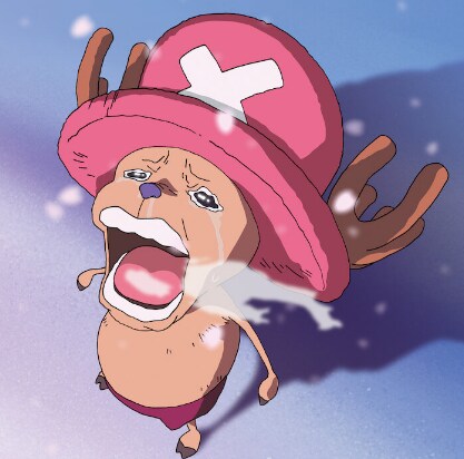 img/24/05/01/18f2fbb6f01505d8e.png