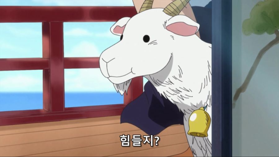 원피스 881.mkv_20240630_130622.531.jpg