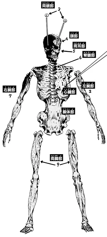 img/24/12/08/193a200d59e560b4a.webp