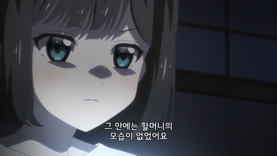 장례식날 할머니의 관을 열어보는 만화_4.jpg