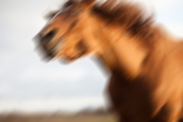 img/23/01/05/18581b238a31f3a8d.png