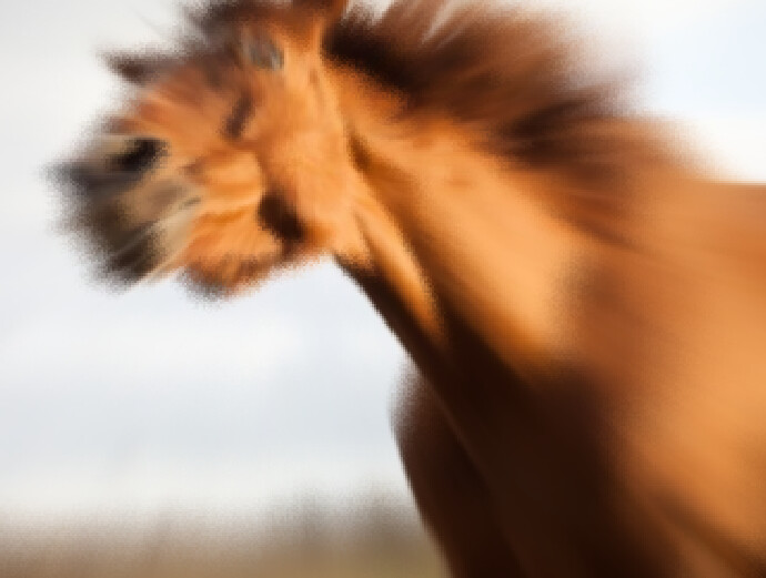 img/23/01/05/18581b33cd91f3a8d.png