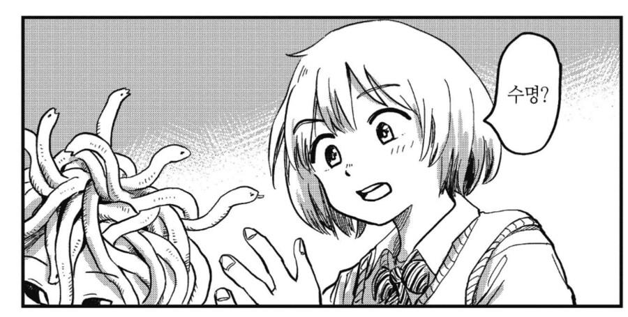 img/25/05/02/1968f7ba22255a349.png