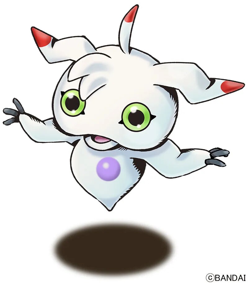img/25/05/06/196a3dfb1a21706c2.png