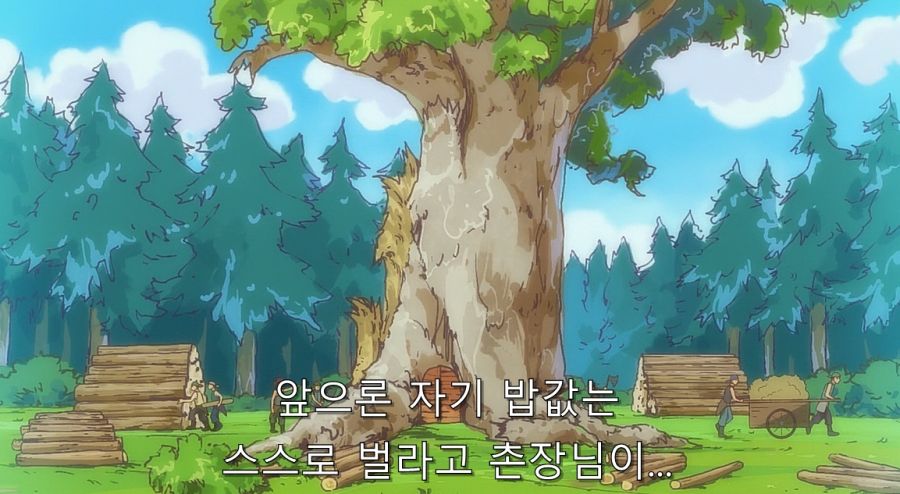 1_00013.jpg