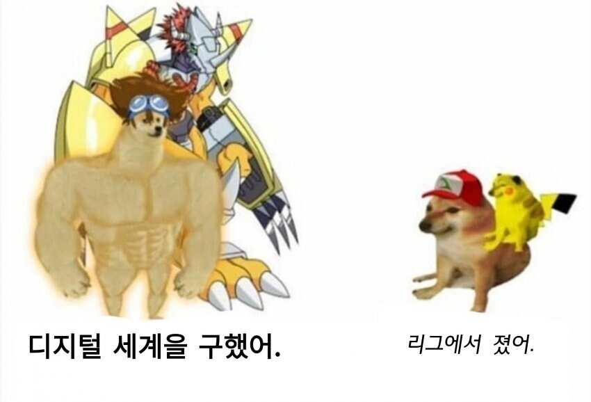 img/25/05/08/196adb32e3447f93e.png