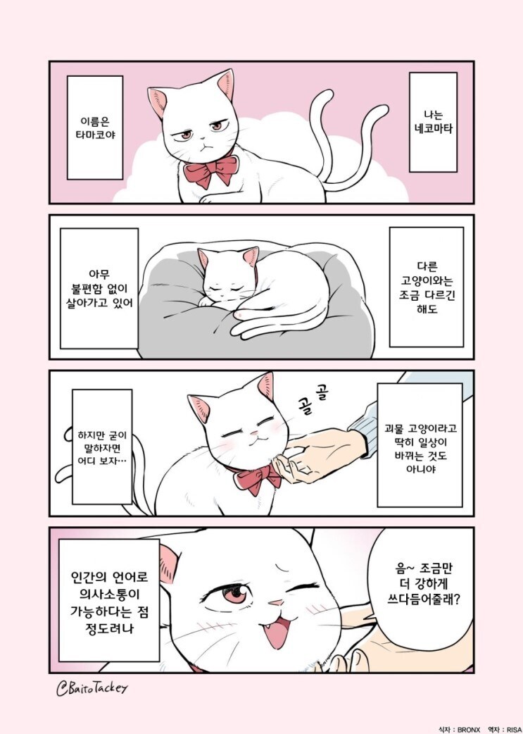 네코마타 만화.manga_1.jpg