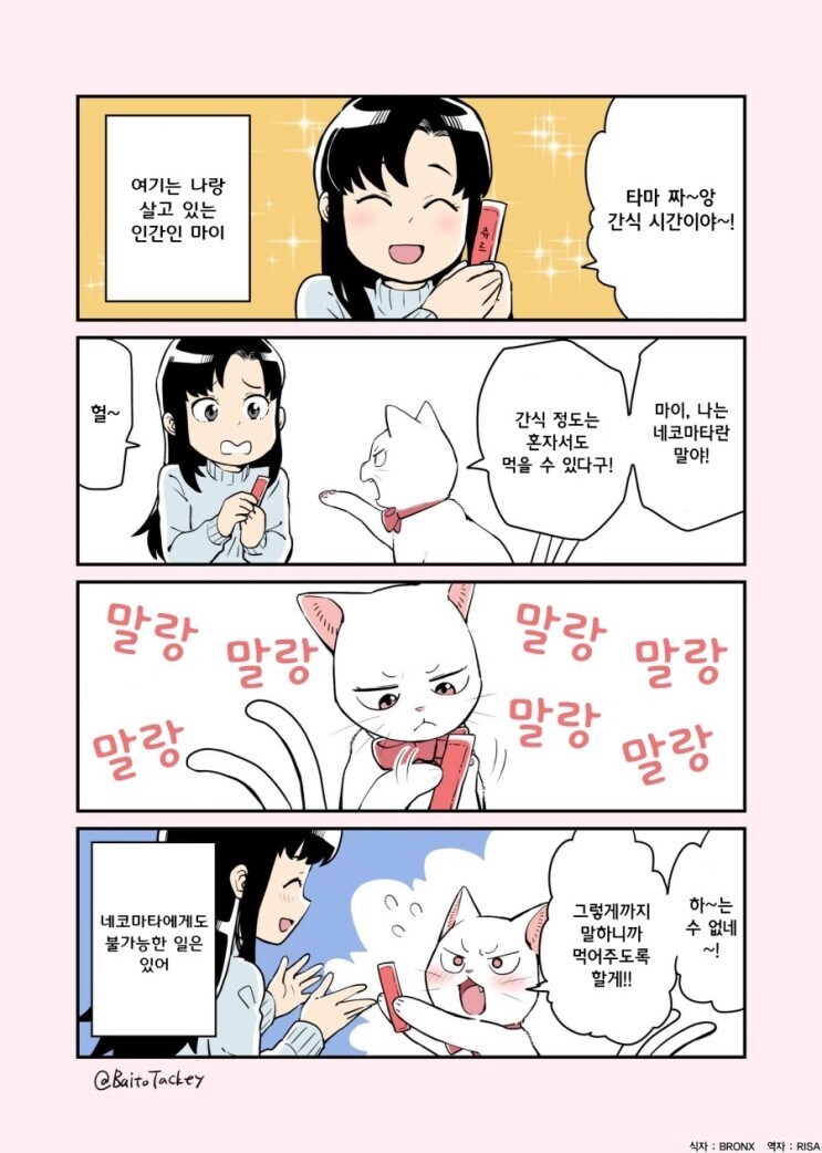 네코마타 만화.manga_2.jpg