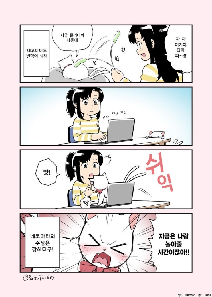 네코마타 만화.manga_3.jpg