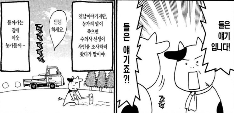 강연금 작가가
