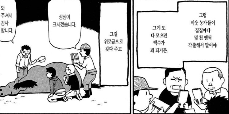 강연금 작가가