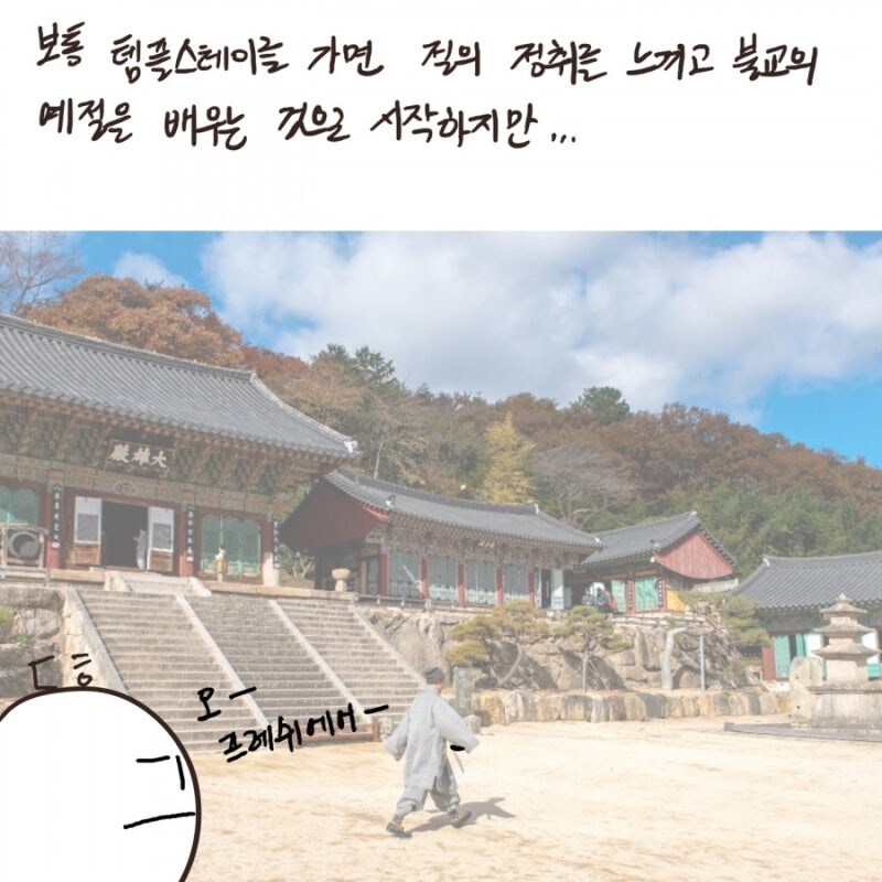 개인적으로 절과 스님에 대해 긍정적이게 만들어준 만화_18.jpg