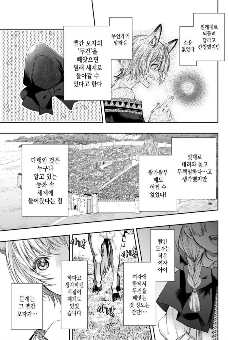 여자들이 좋아하는 빨간망토 이야기_3.jpg