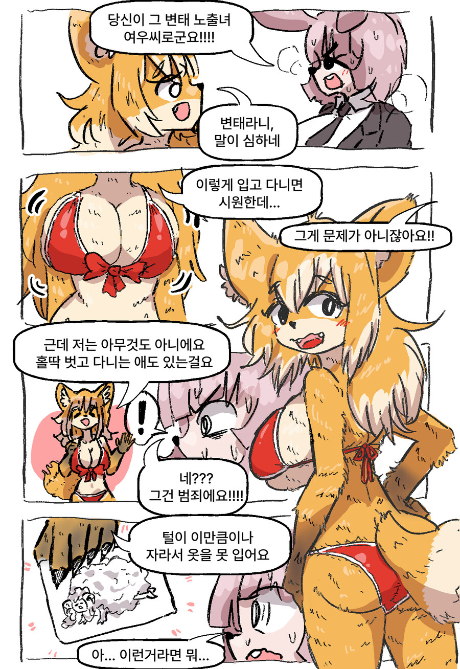 비키니 여우와 변태 토끼 과장 만화_11.jpg