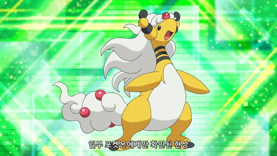 [포켓몬스터] 아무도 안 보는거 같은 애니 보는 중_17.png