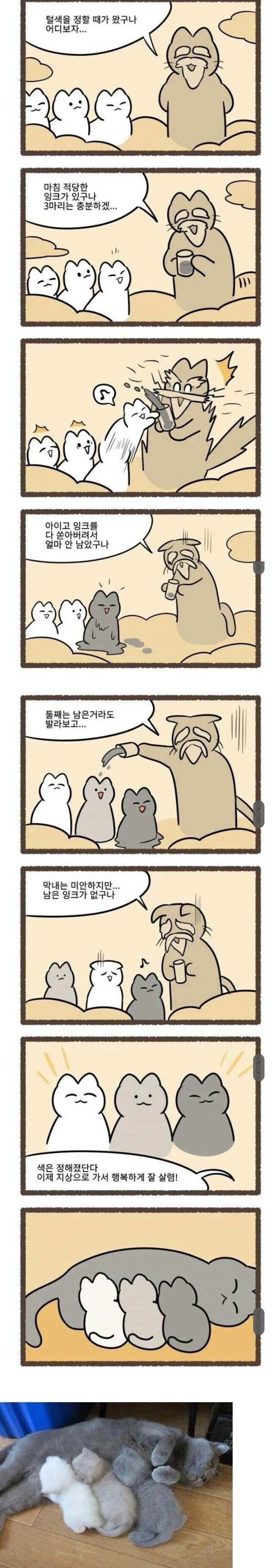 아깽이 털색 정하기.manga_1.jpg