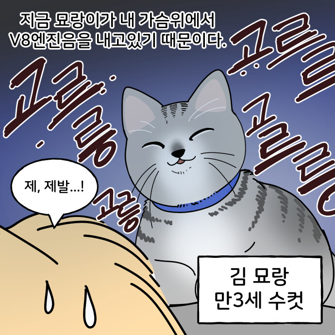 고양이가 몸 위에 올라오는게 무서운 이유.manwha_2.jpg