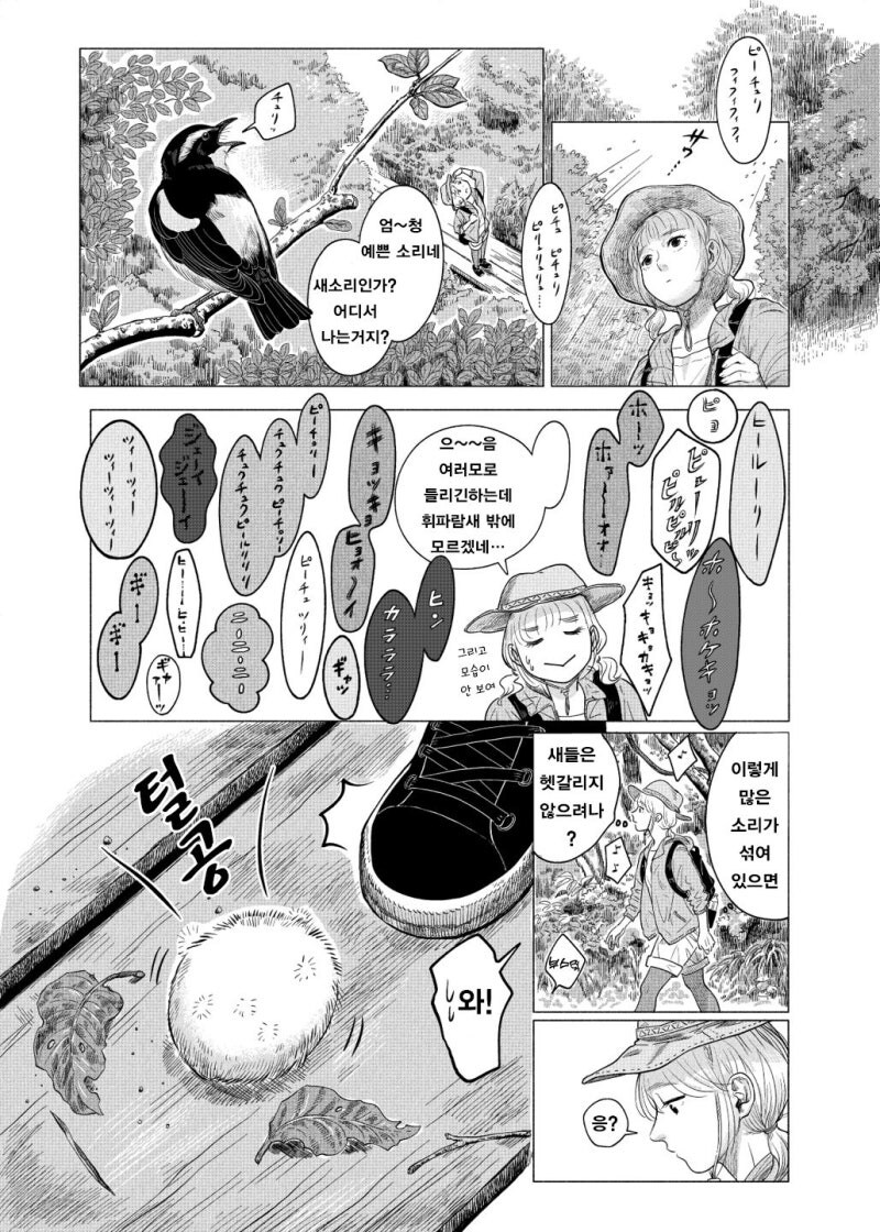 공포) 귀여운 동물 아기새 만화 .manhwa_2.jpg