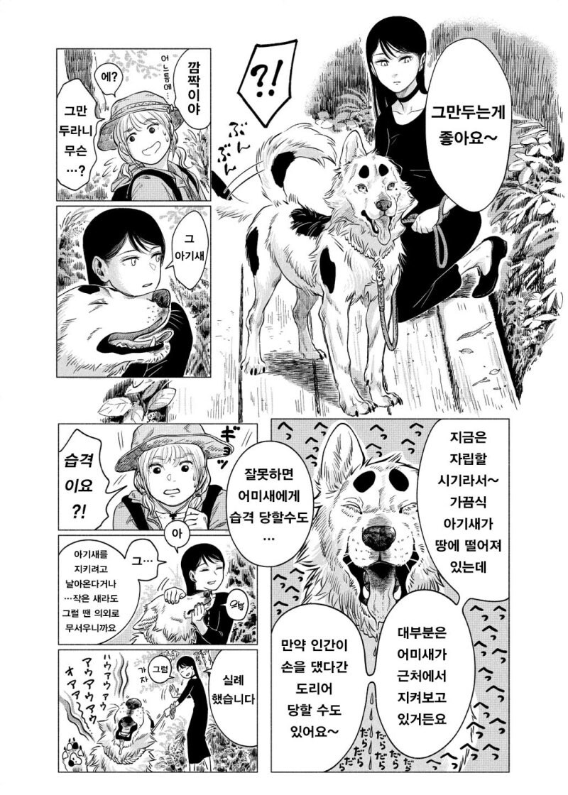 공포) 귀여운 동물 아기새 만화 .manhwa_4.jpg