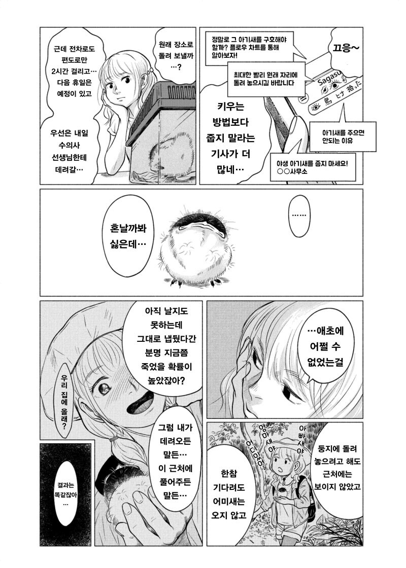 공포) 귀여운 동물 아기새 만화 .manhwa_7.jpg