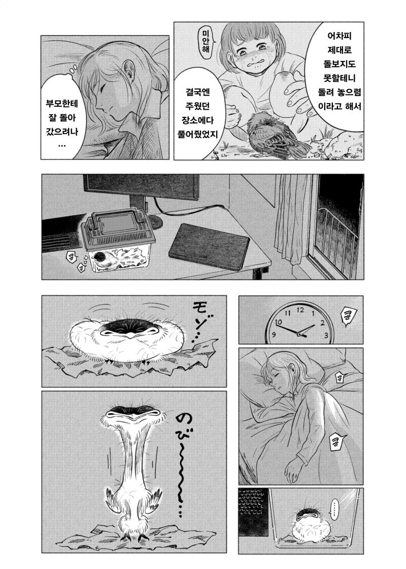 공포) 귀여운 동물 아기새 만화 .manhwa_9.jpg