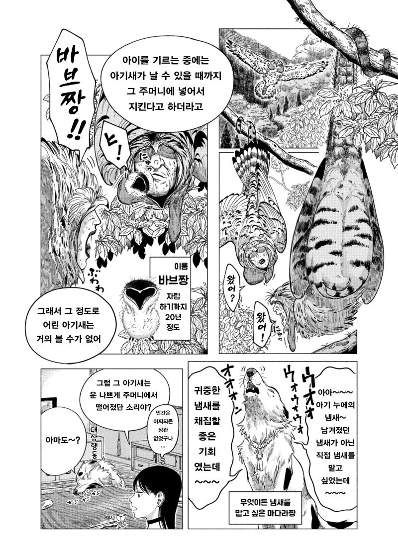 공포) 귀여운 동물 아기새 만화 .manhwa_21.jpg