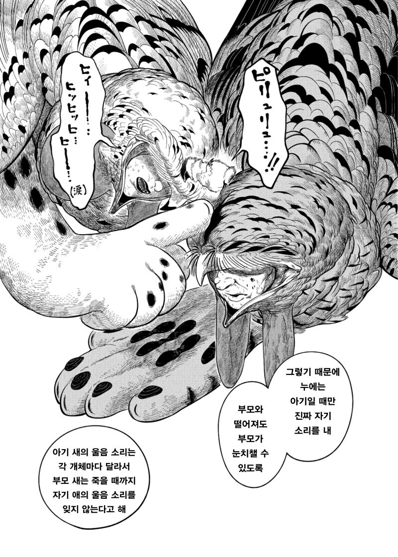 공포) 귀여운 동물 아기새 만화 .manhwa_22.jpg