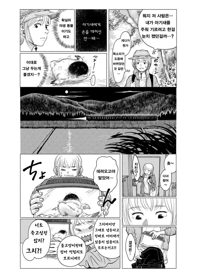 약혐) 귀여운 아기새 주워가는 만화_5.jpg