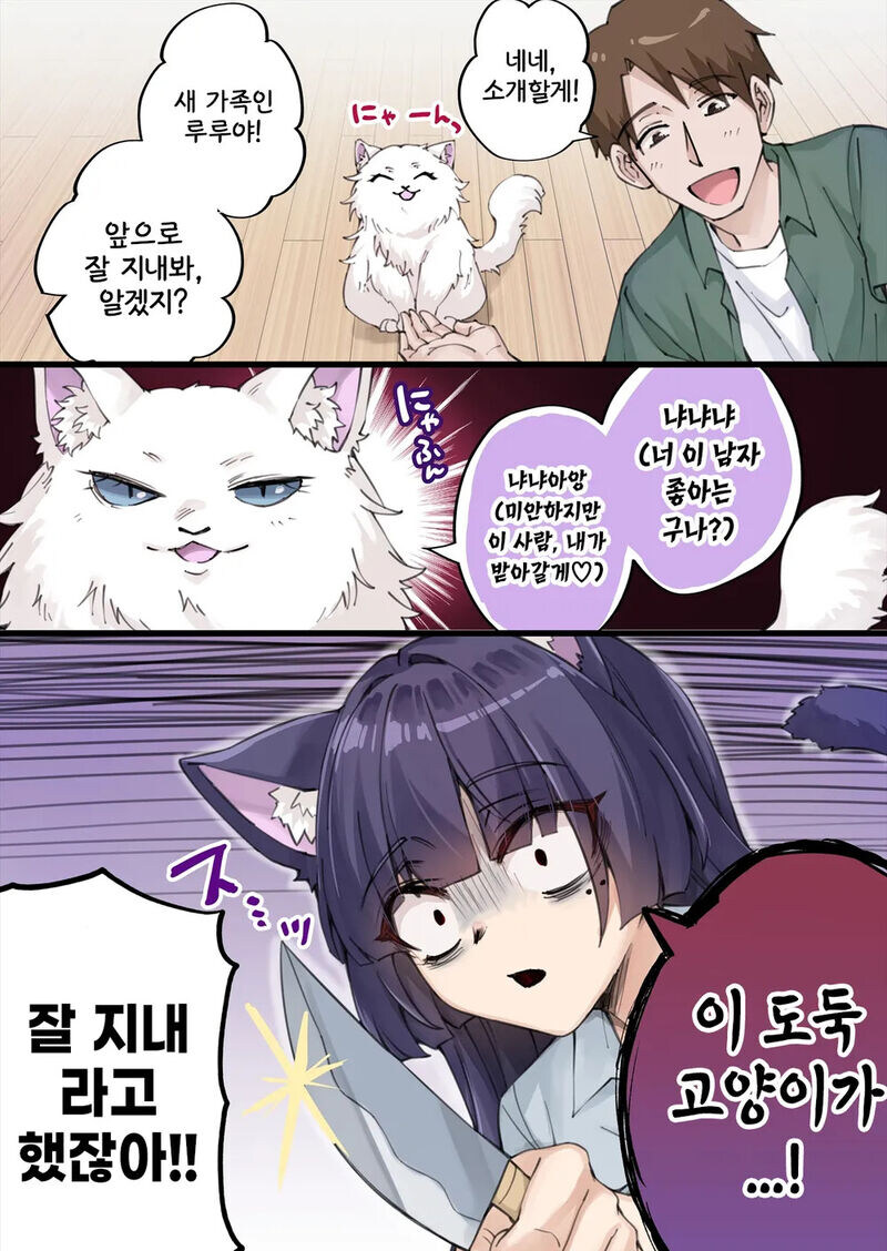 고양이 키우는 .manhwa_1.jpg