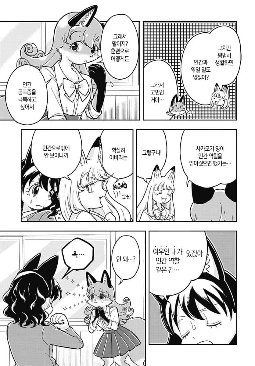 인간에 대해 궁금해하는 여우 만화_5.jpg